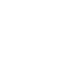 Lawyers Accountants Group